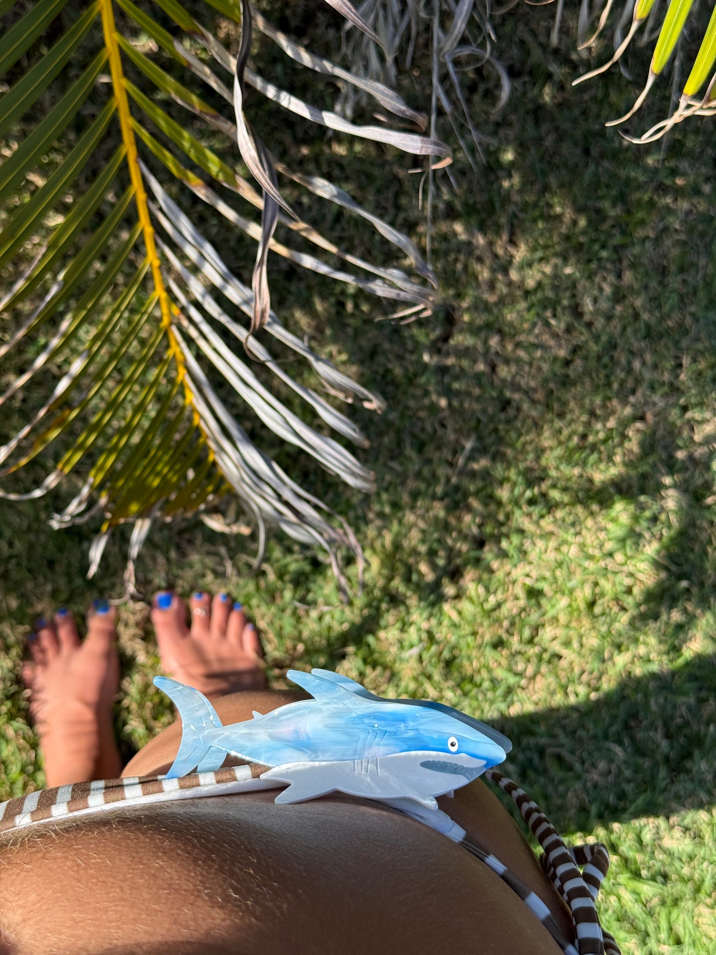 Great White Shark Clip