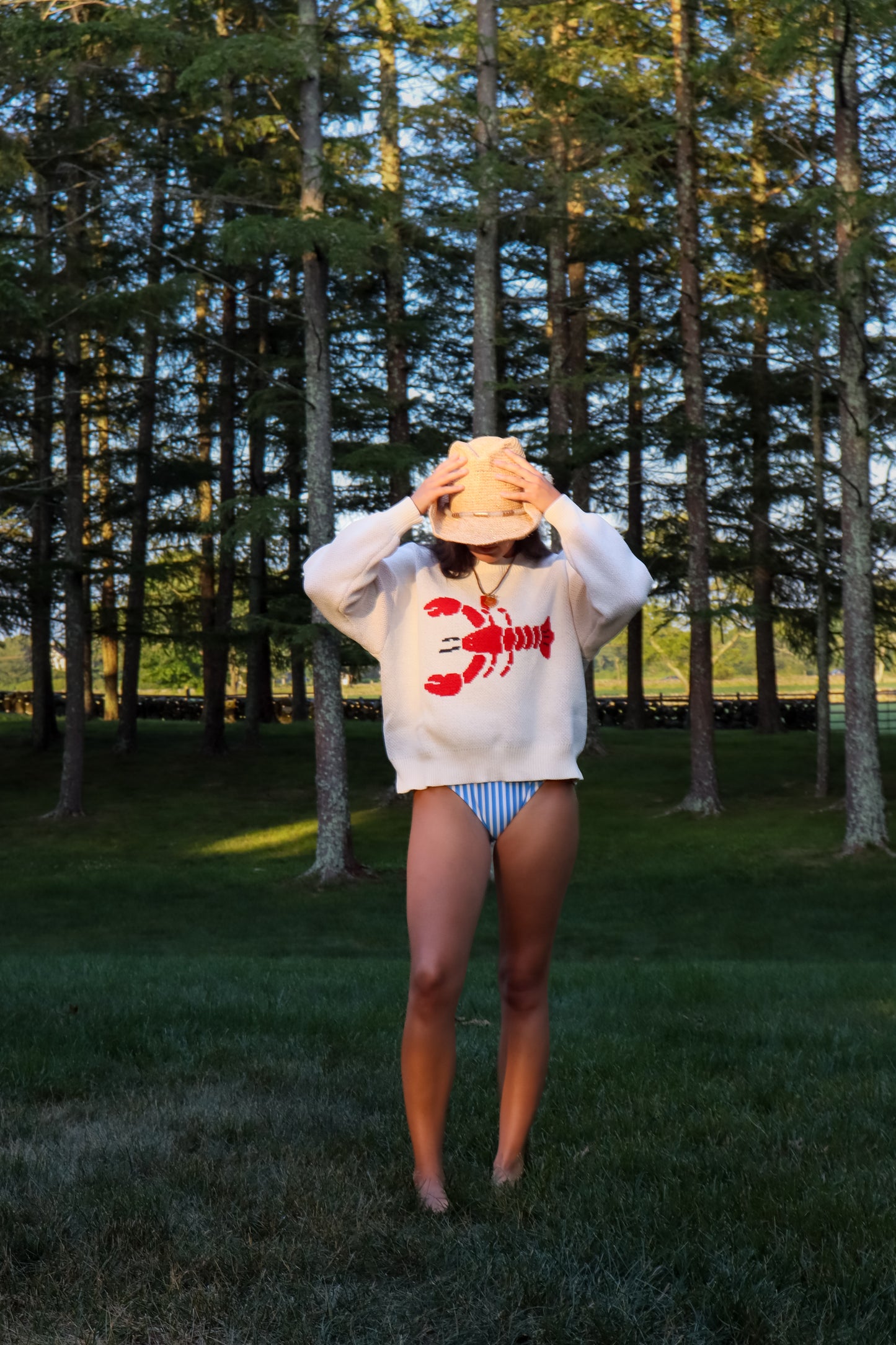 Cream Lobster Sweater