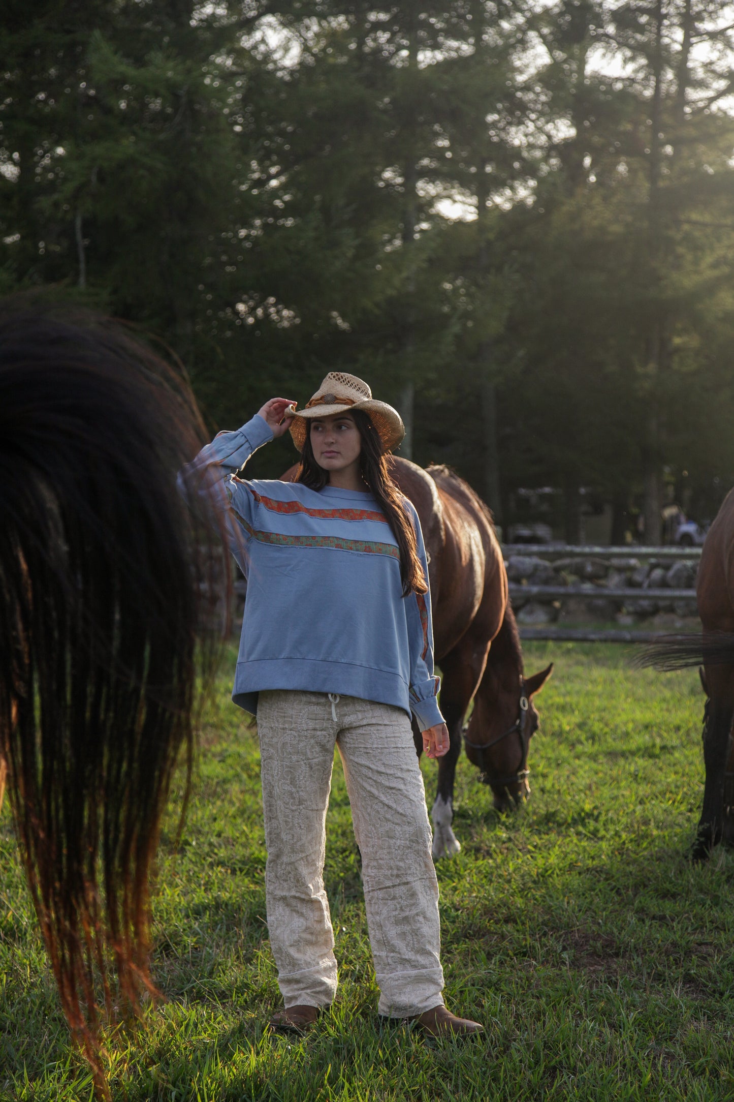 Blue Bird Terry Pullover
