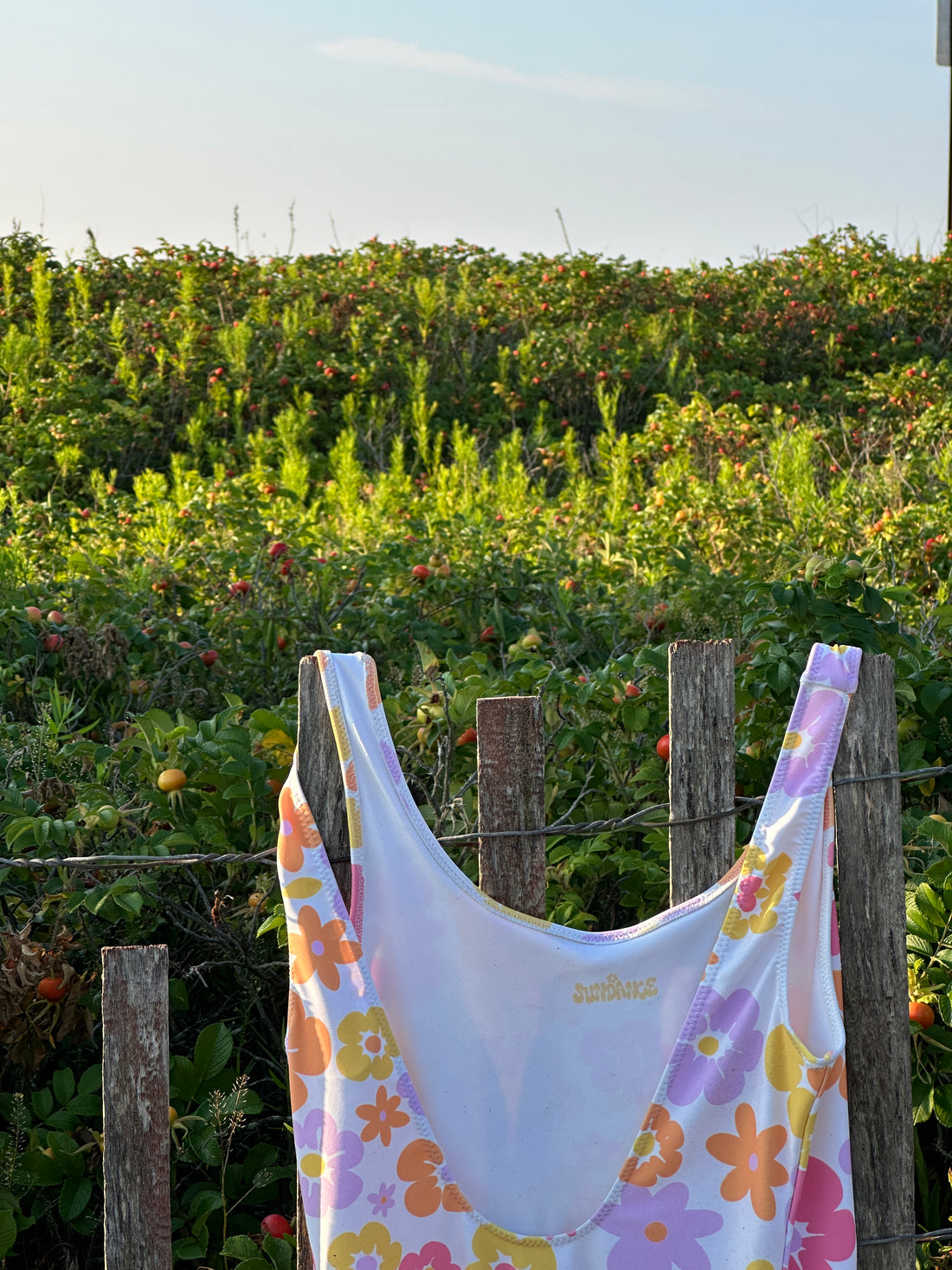 A Summers Daydream Swim Collection