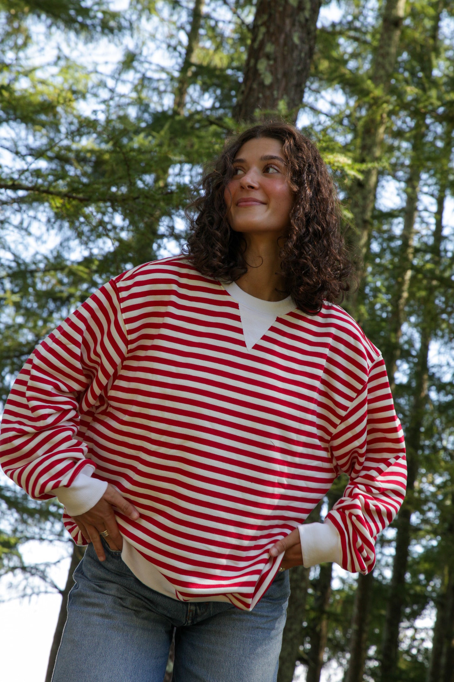 Candy Cane Striped Retro Crew