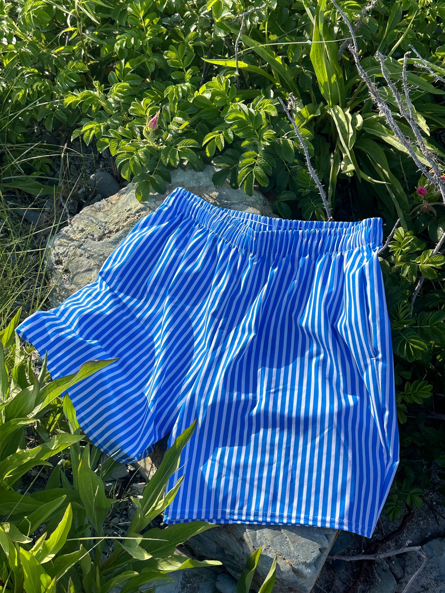 Fourth of July Men’s Swim Trunks