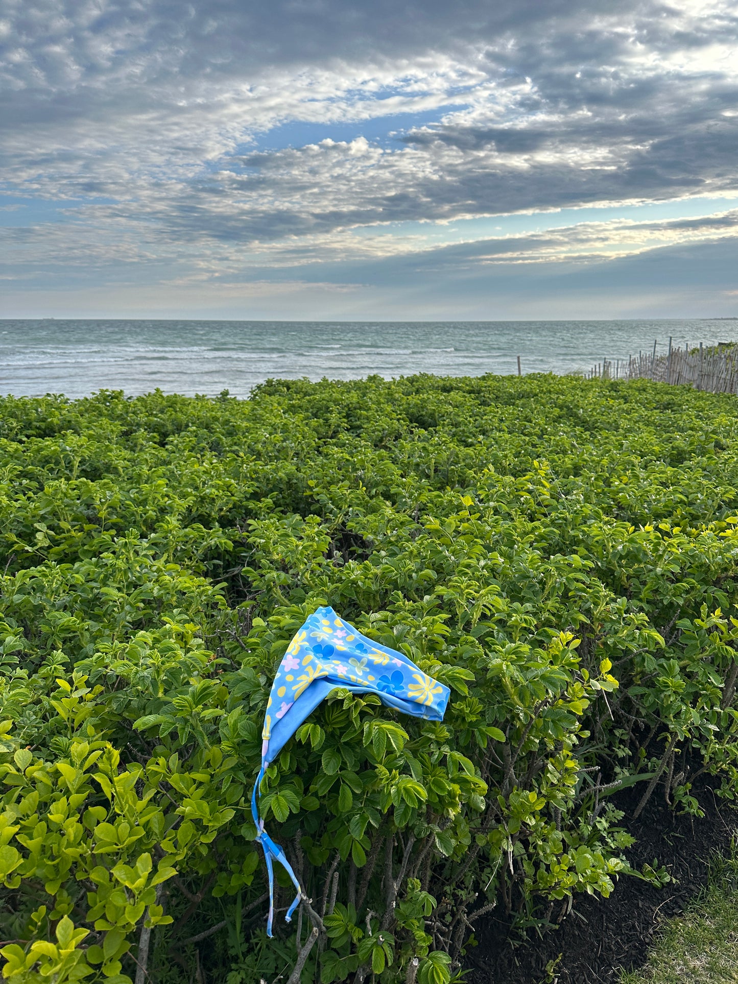 Summer Citrus Kini Bottom