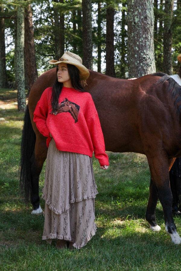 Horse Sweater