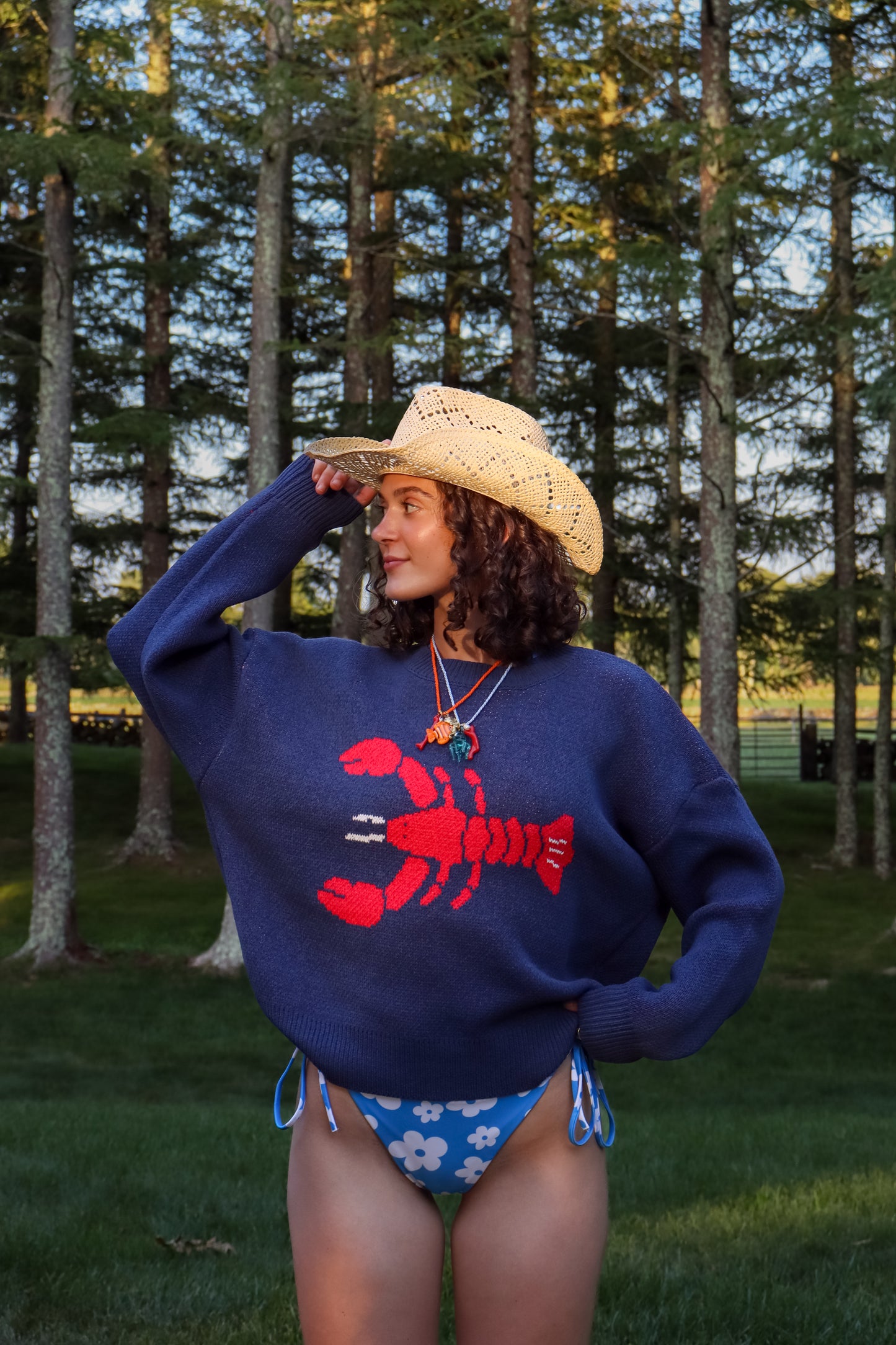 Navy Lobster Sweater