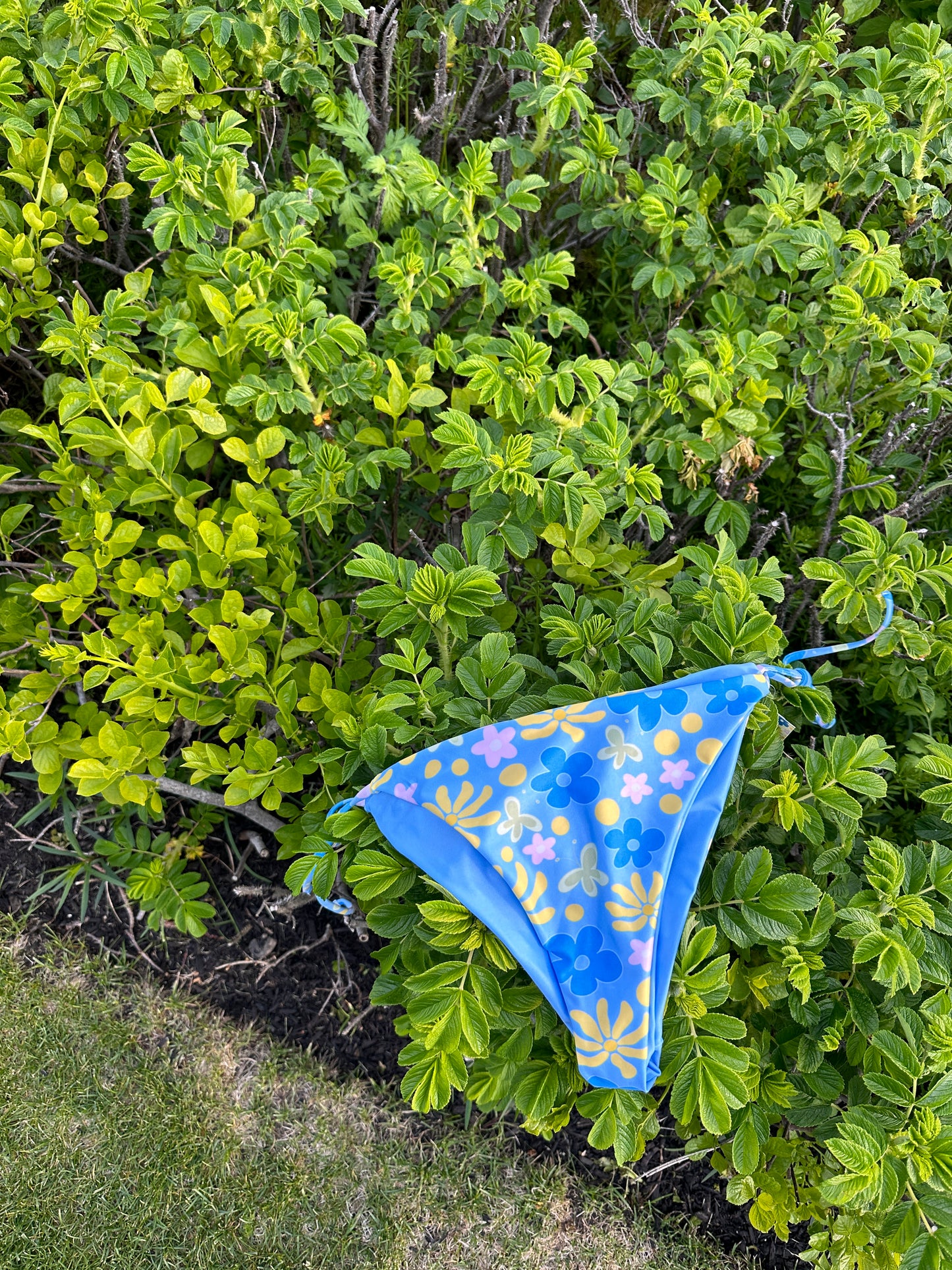 Summer Citrus Kini Bottom