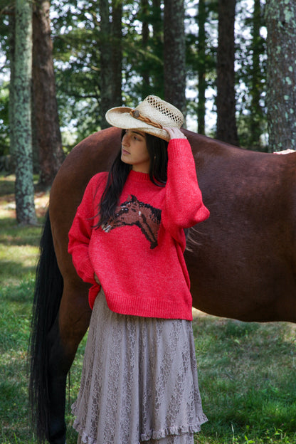 Horse Sweater