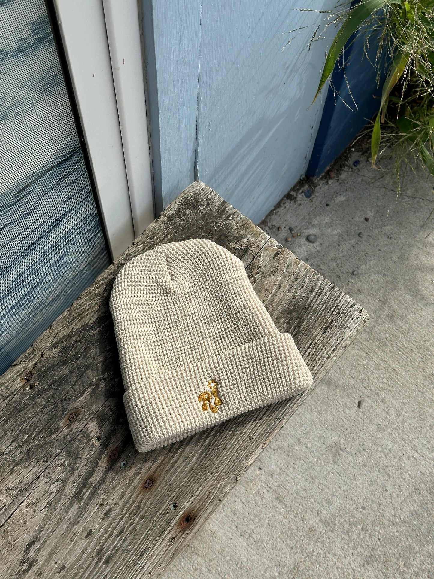 Rhode Island Winter Beanie