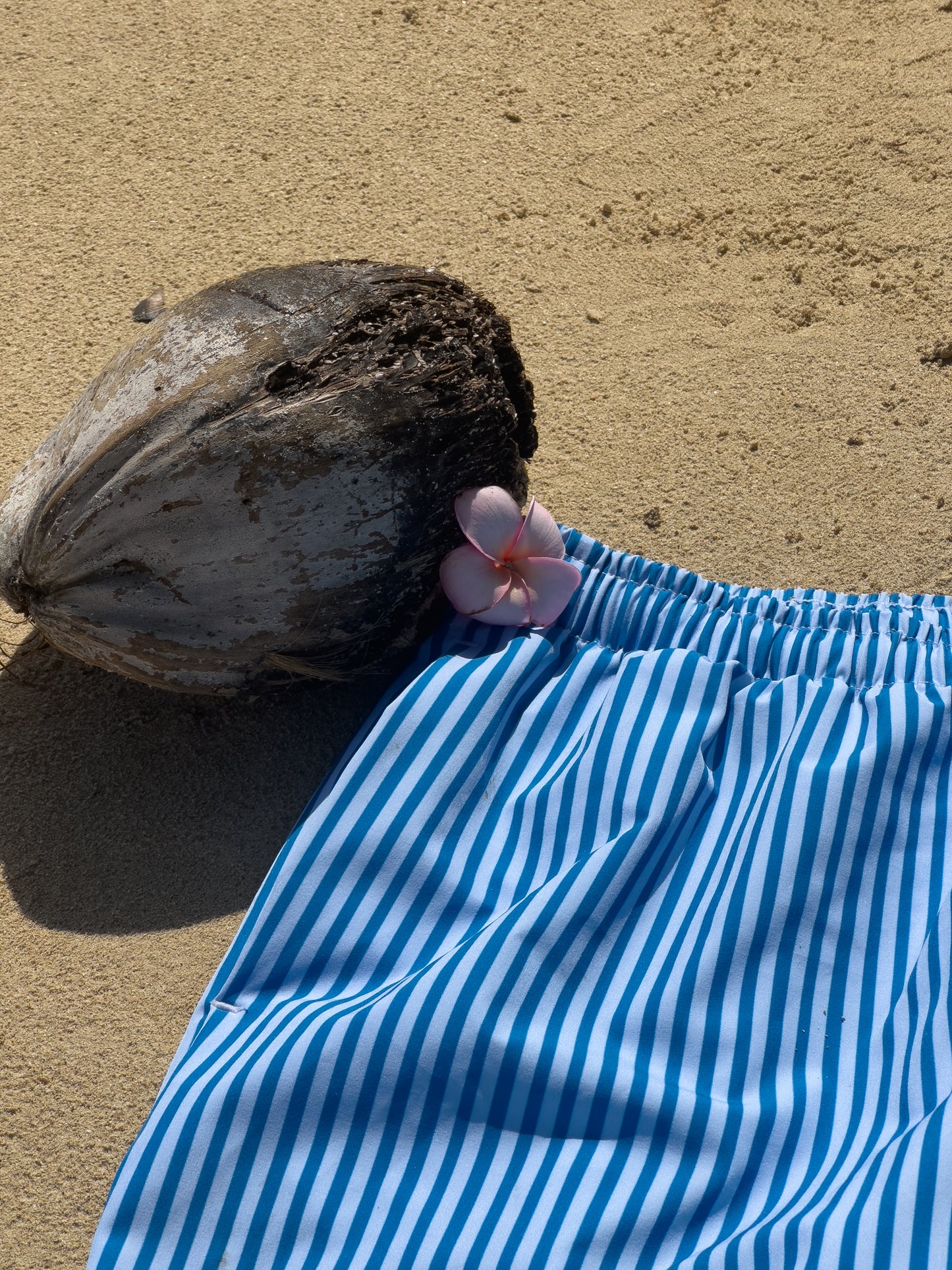 Coastal Candy Trunks