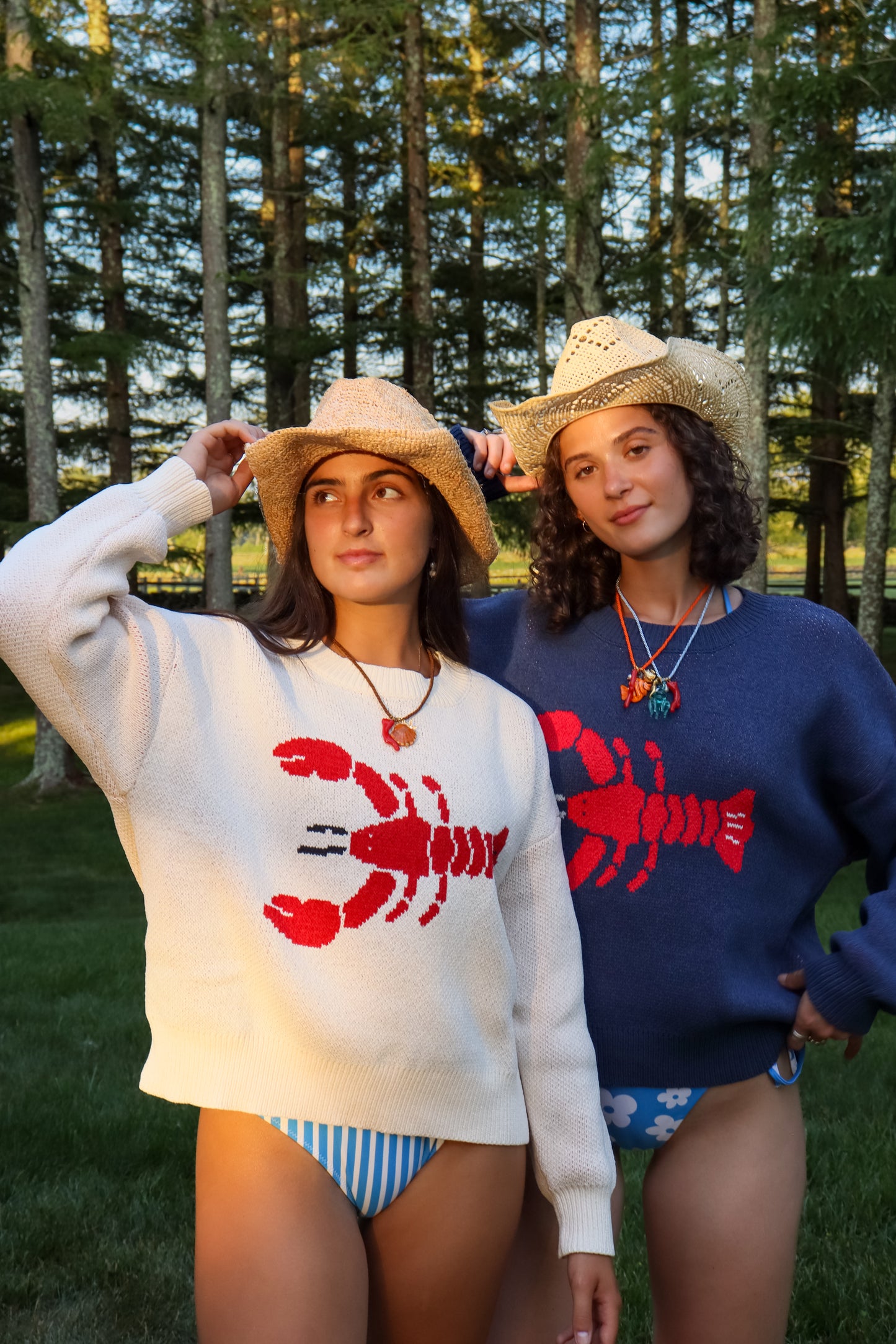 Cream Lobster Sweater