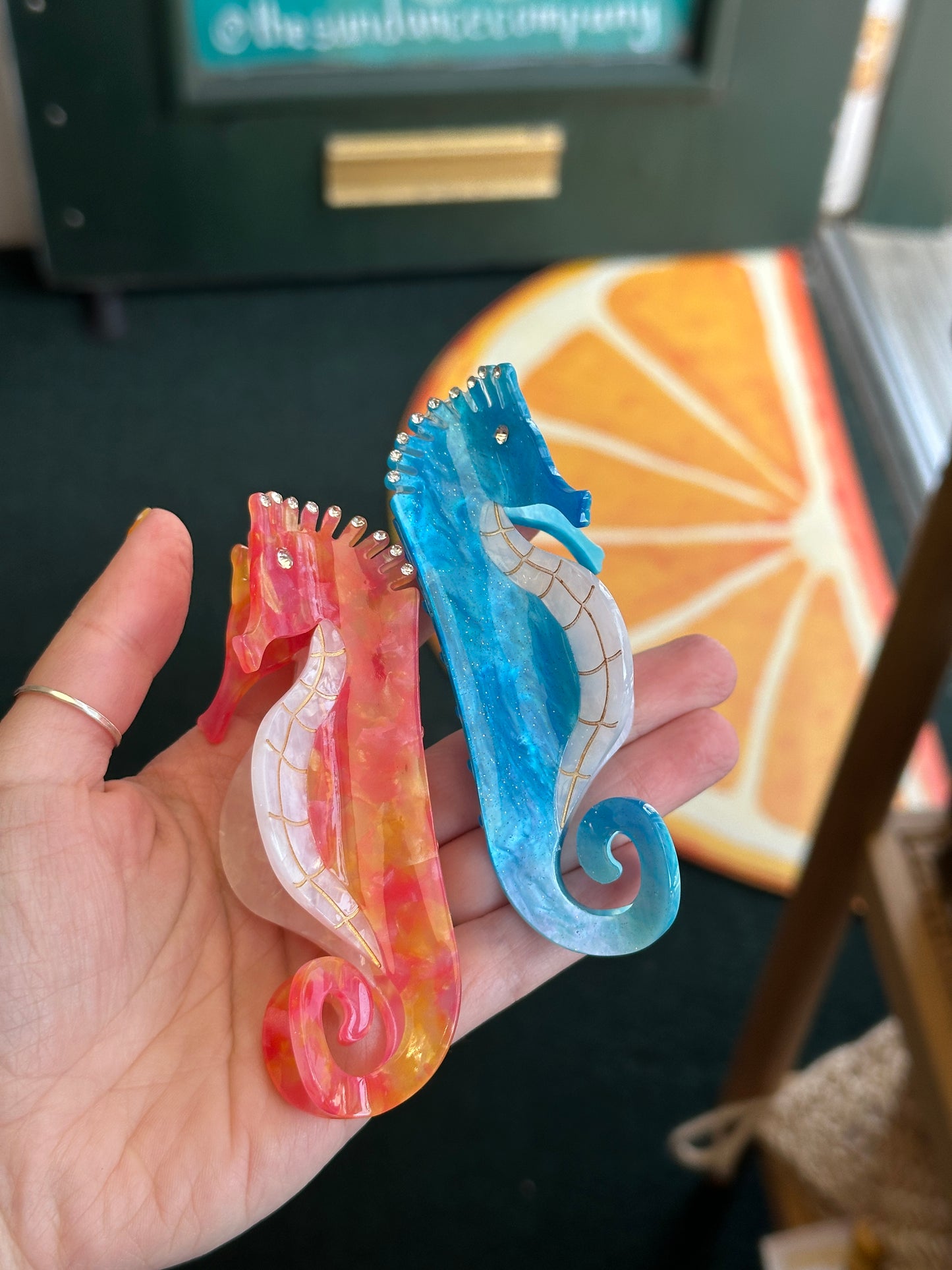 Seahorse Clips