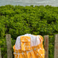 Costa Rica Men’s Swim Trunks