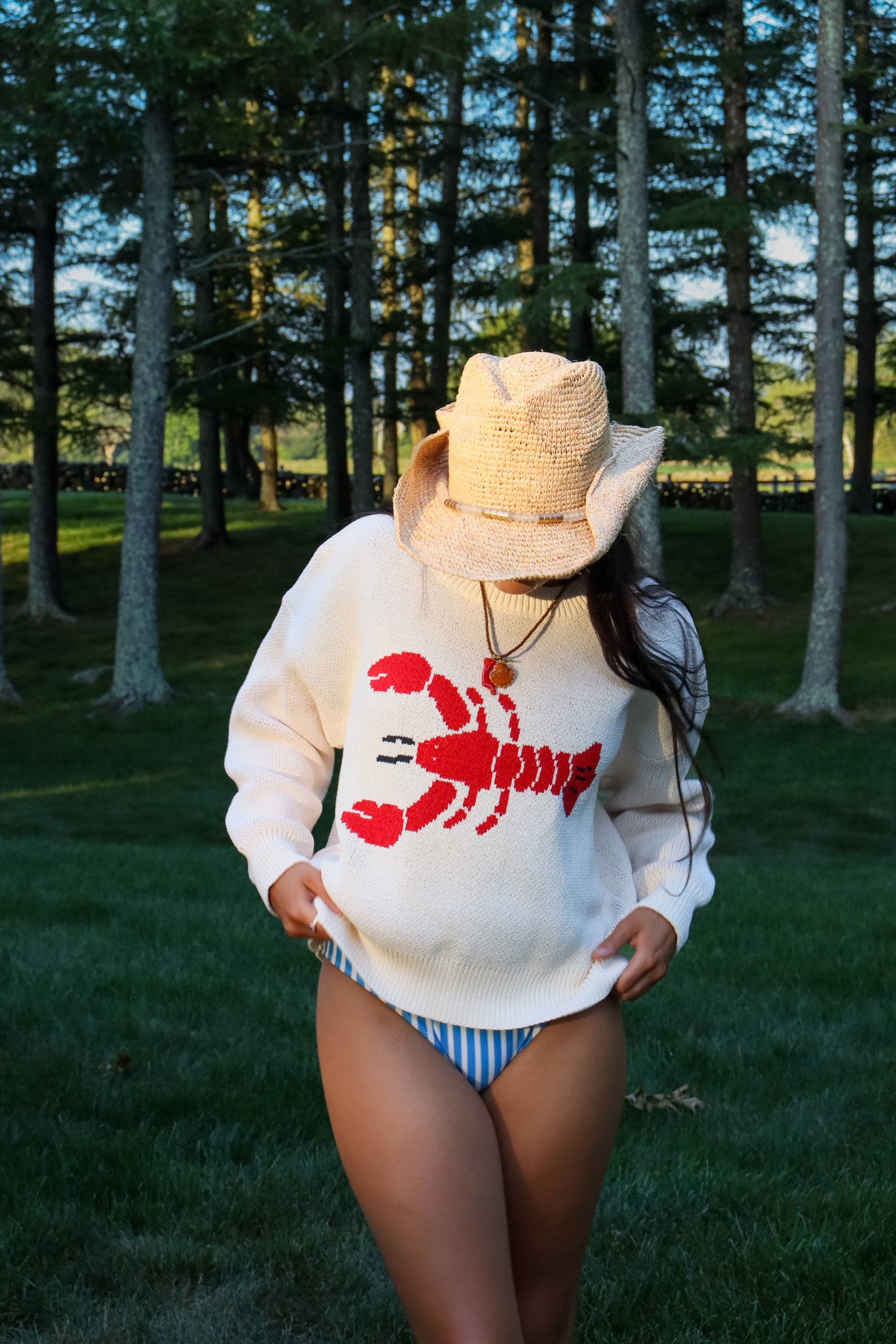 Cream Lobster Sweater