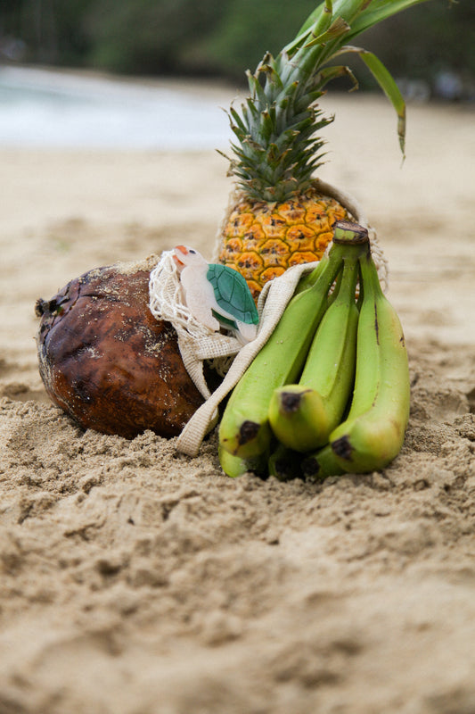 Sunny the Turtle Clip