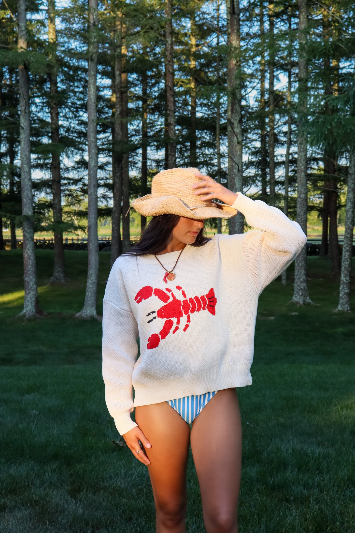 Cream Lobster Sweater