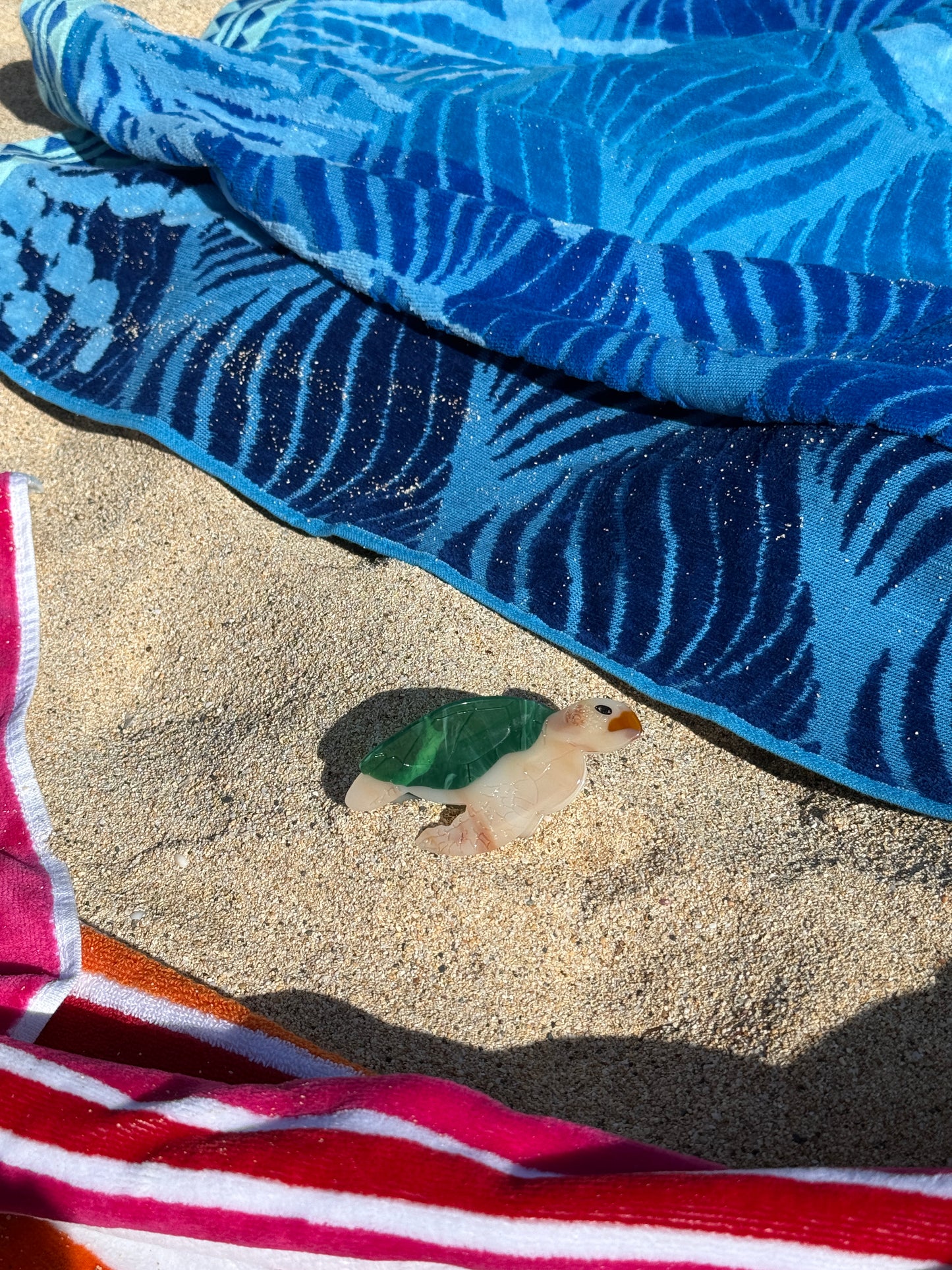 Sunny the Turtle Clip