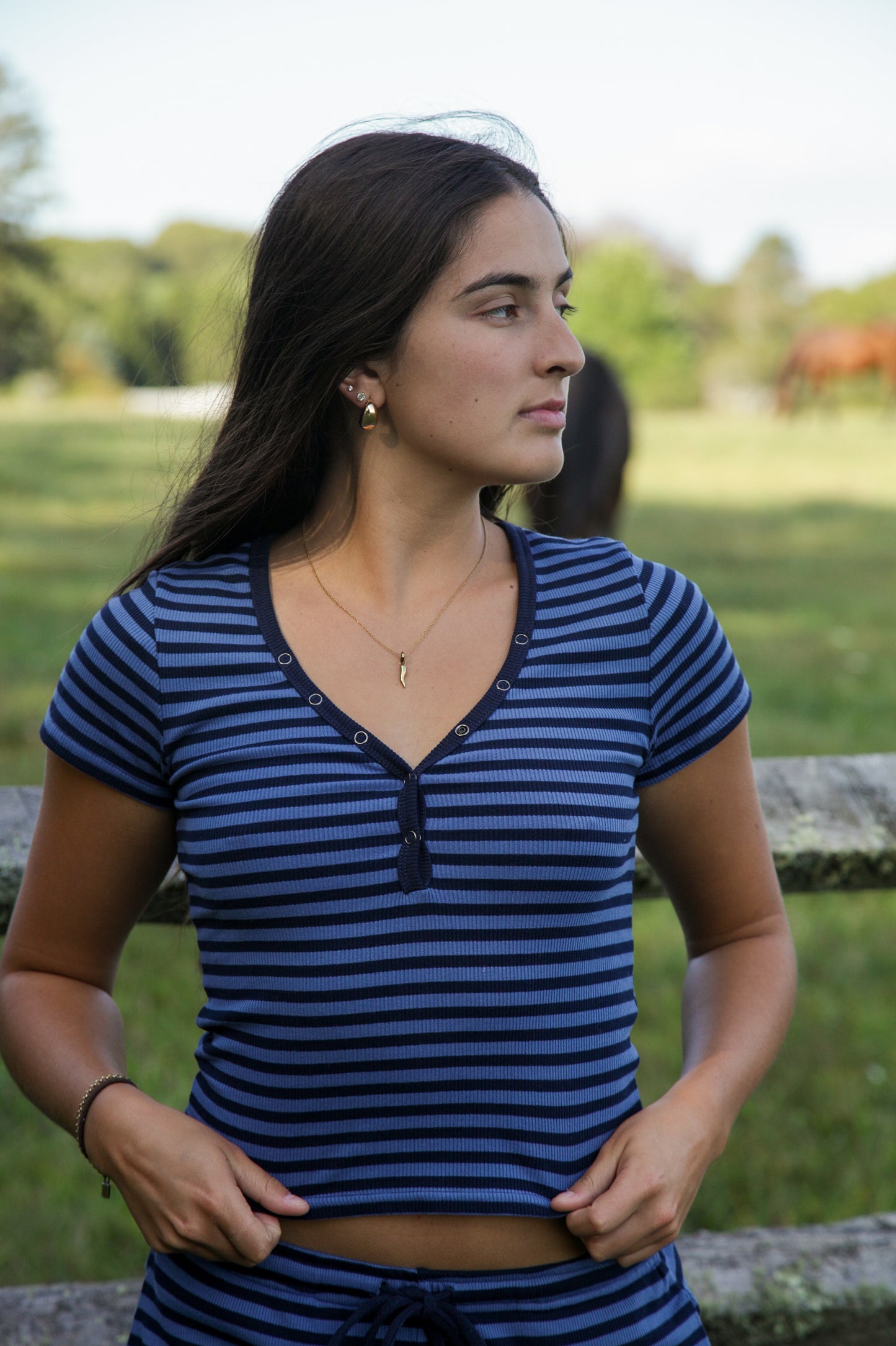 Hay Field Striped Top
