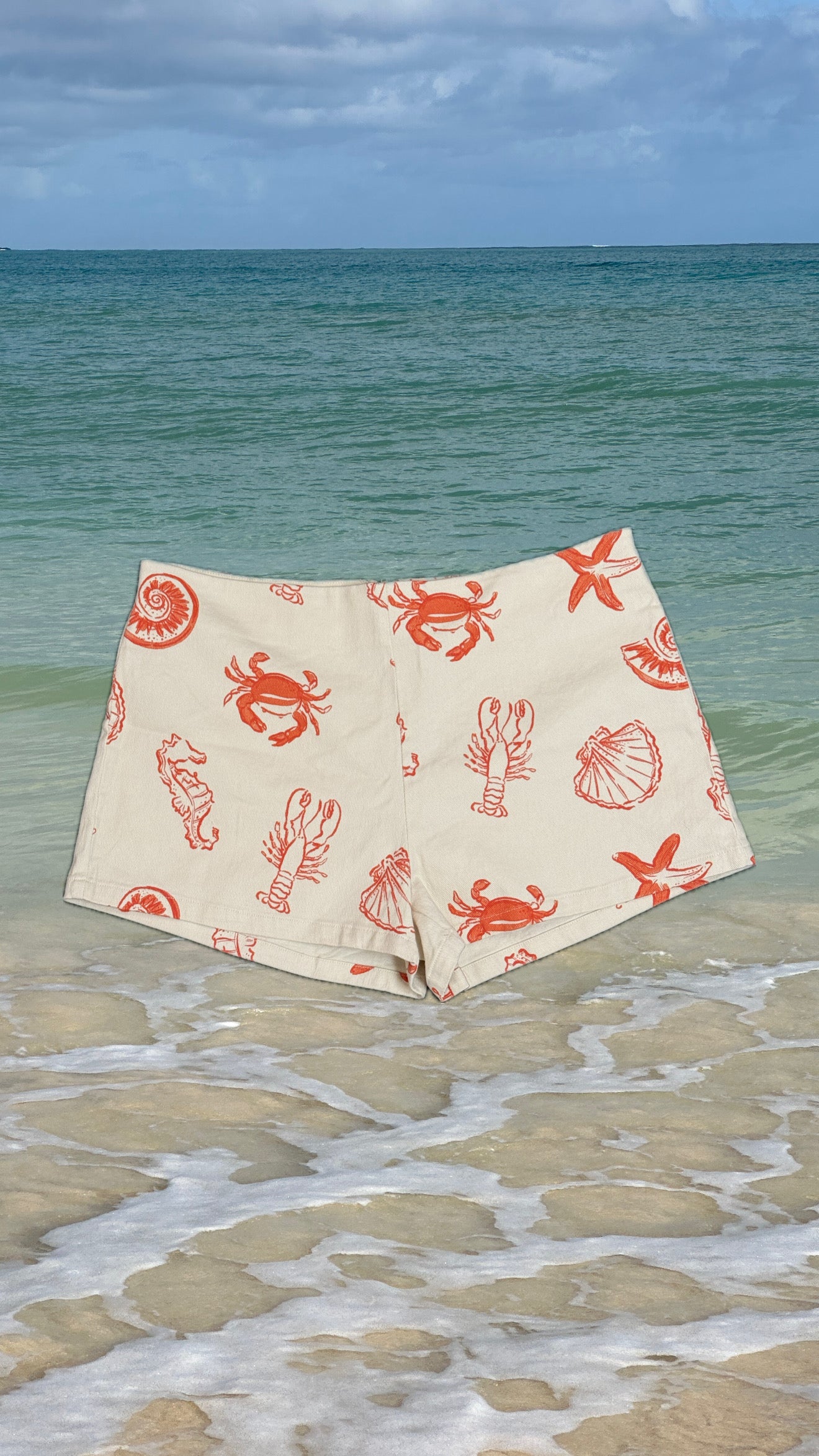 Coastal Summer Shorts