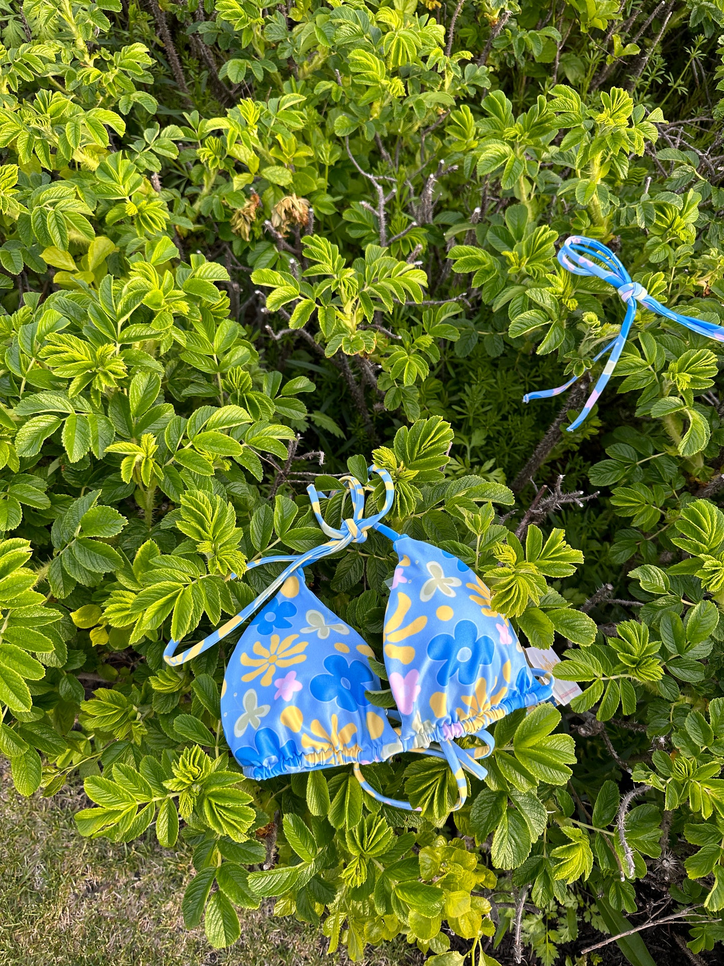 Summer Citrus Kini Top