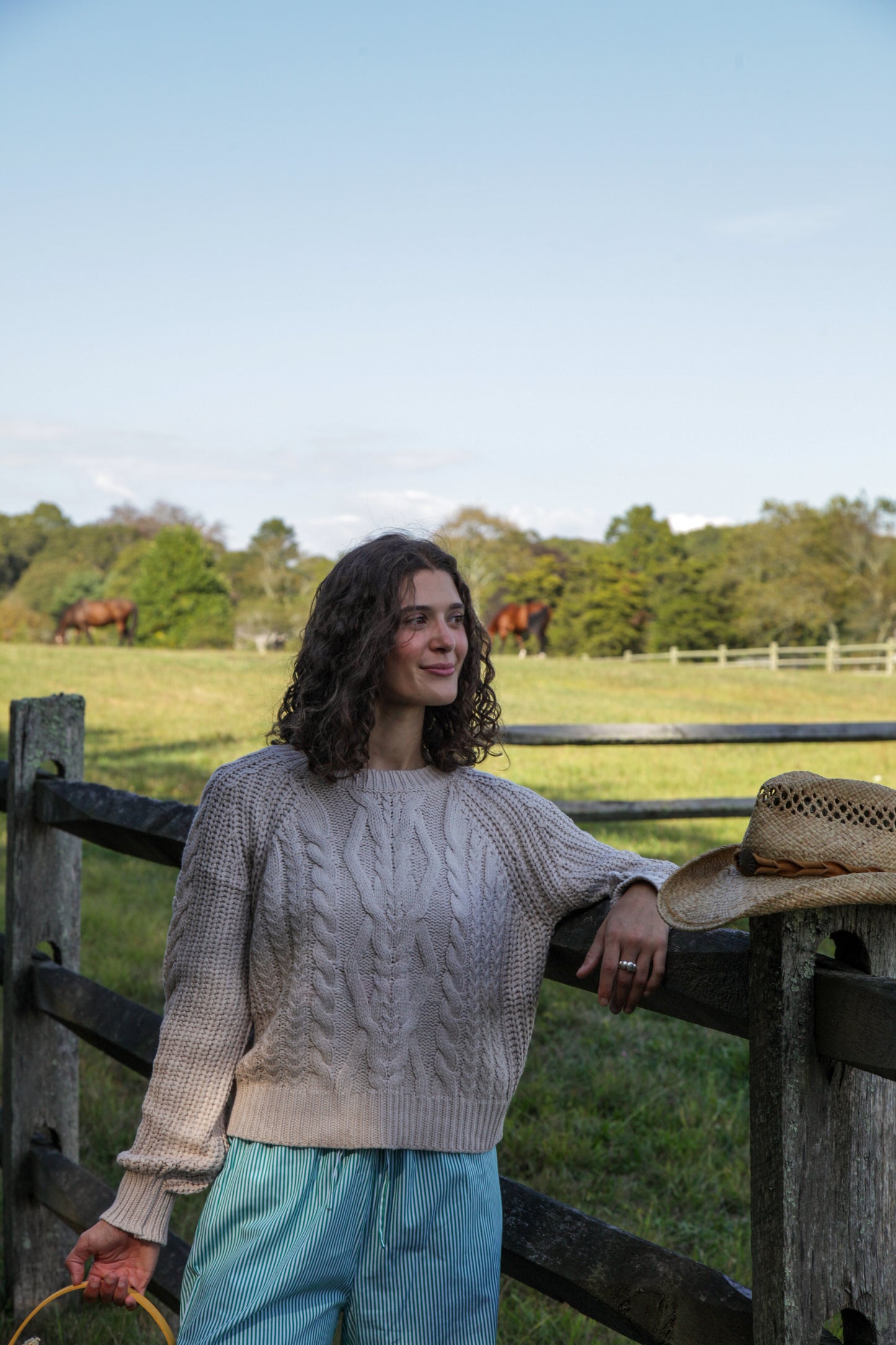 Cowboy Cropped Sweater