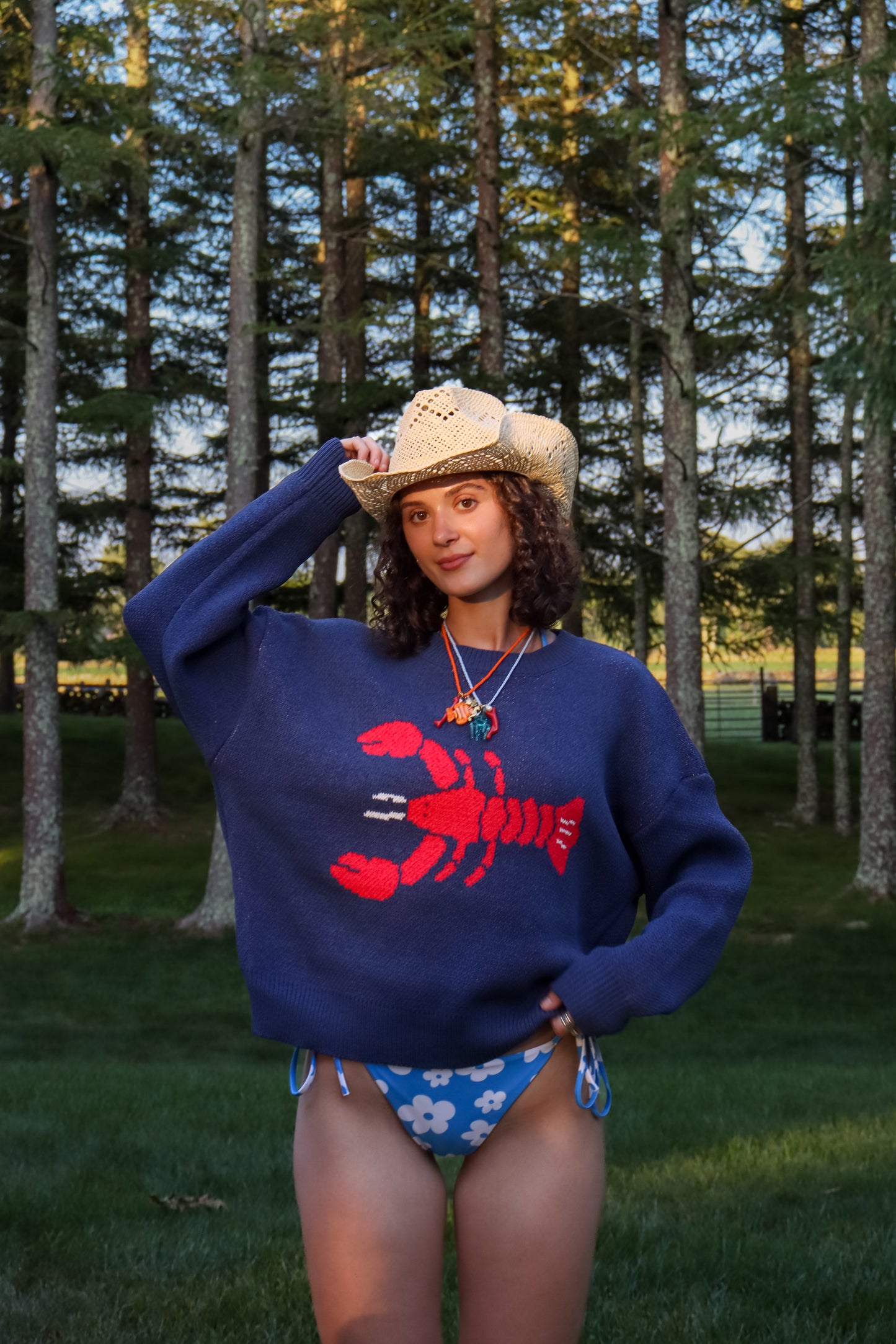 Navy Lobster Sweater