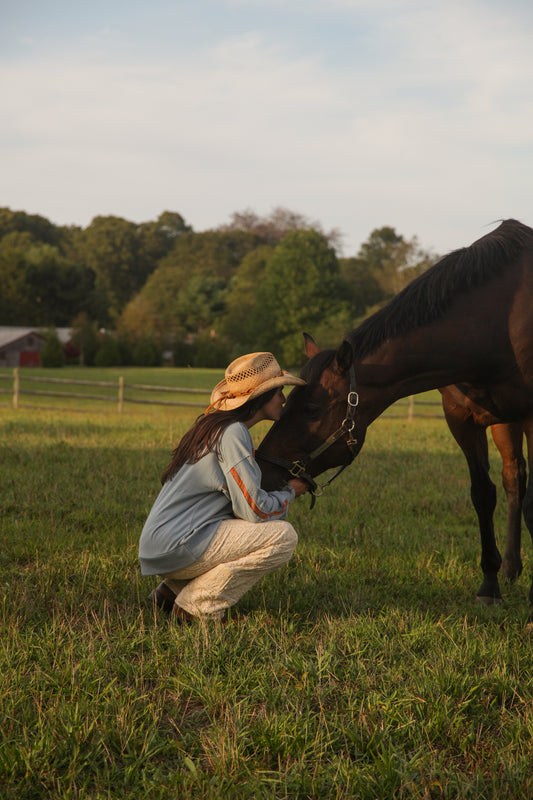Blue Bird Terry Pullover