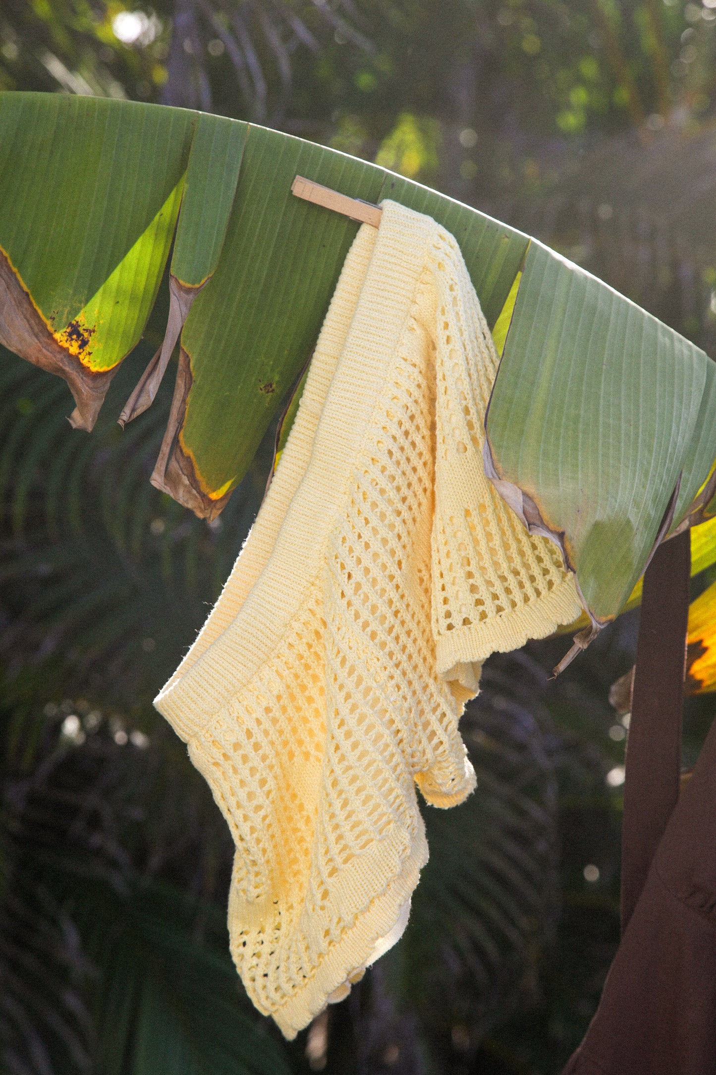 Butter Fish Knit Shorts