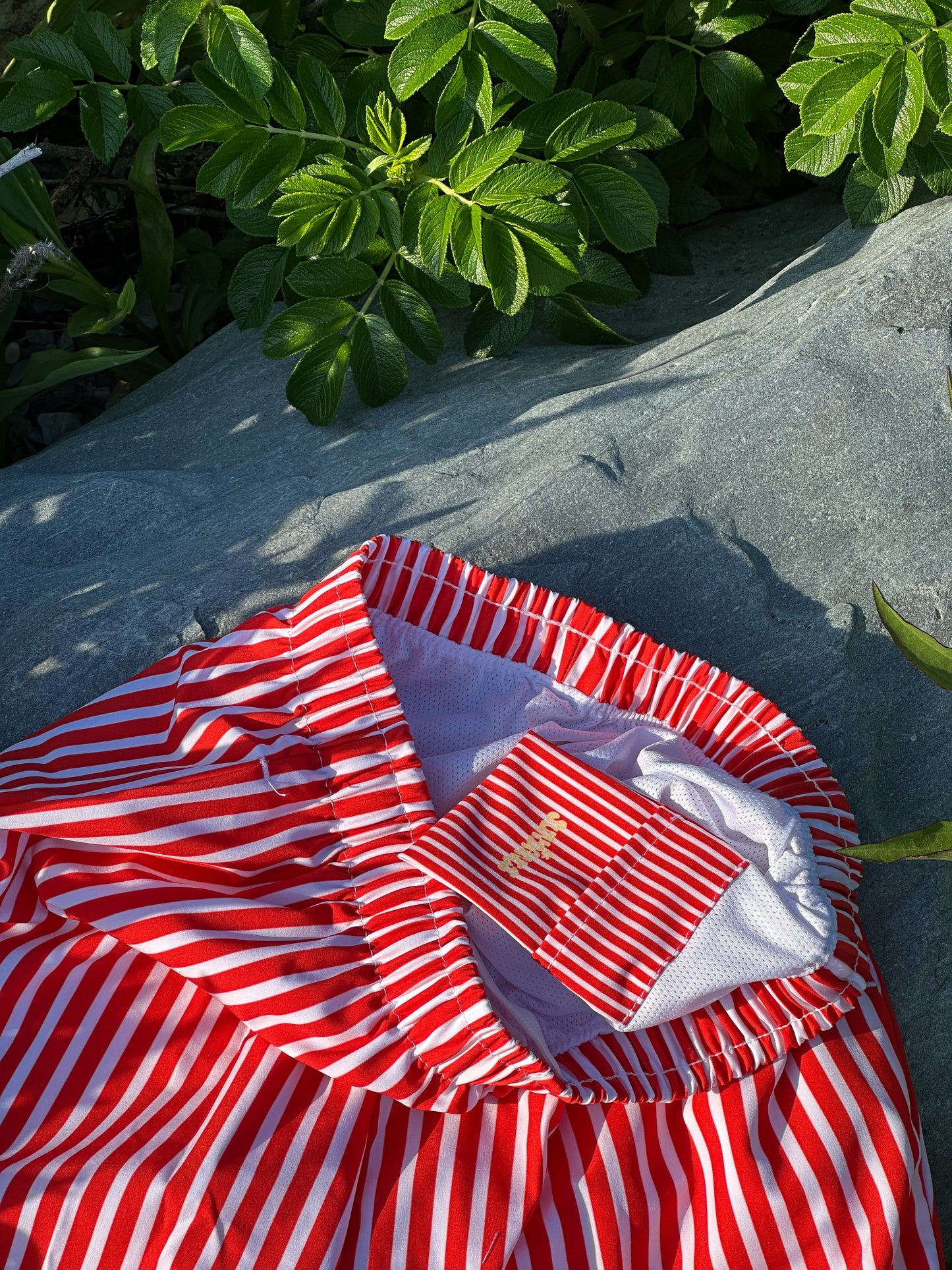 Fourth of July Men’s Swim Trunks