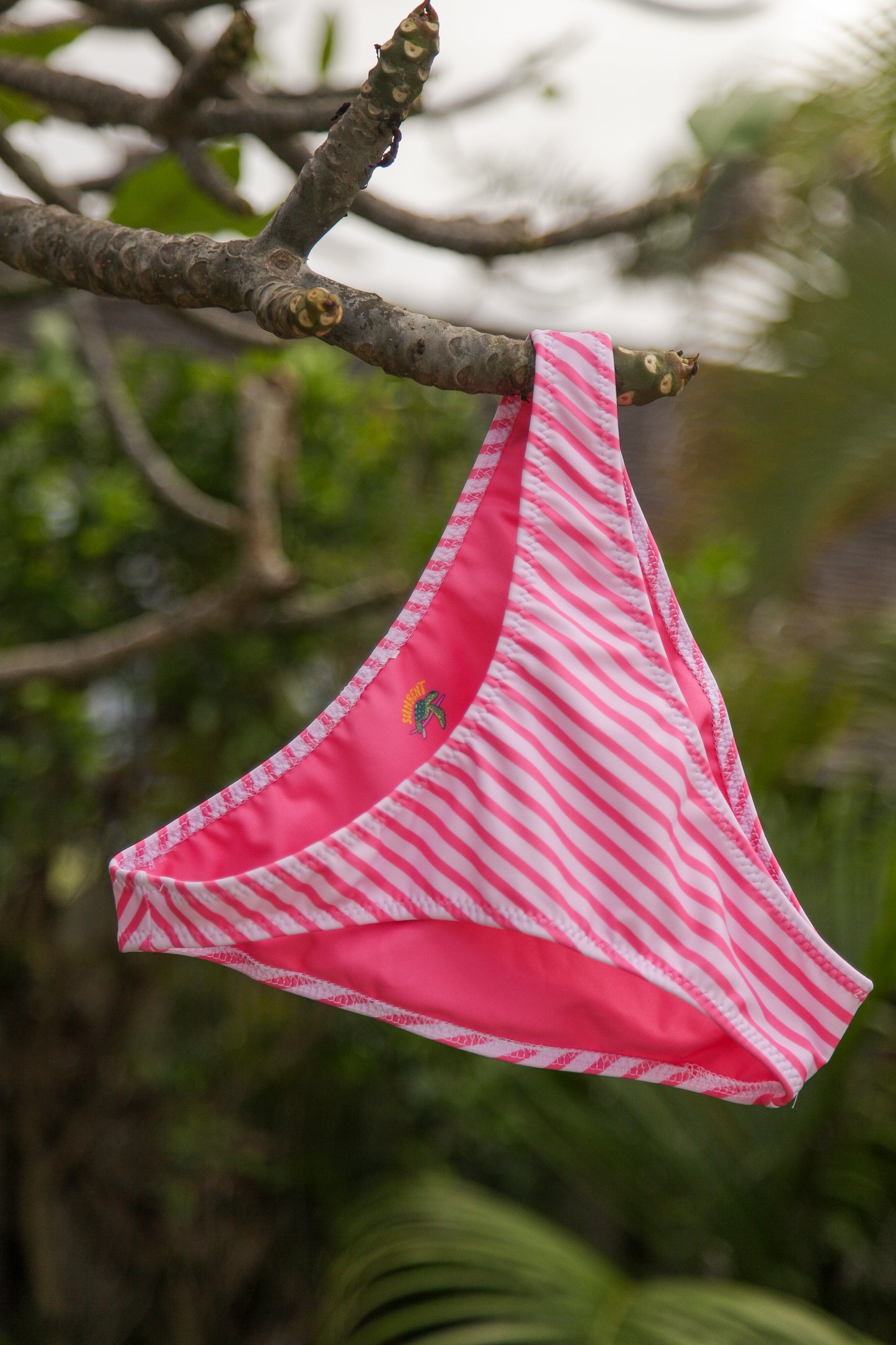 Coastal Candy Bottom