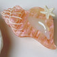 Conch Shell Hair Clip